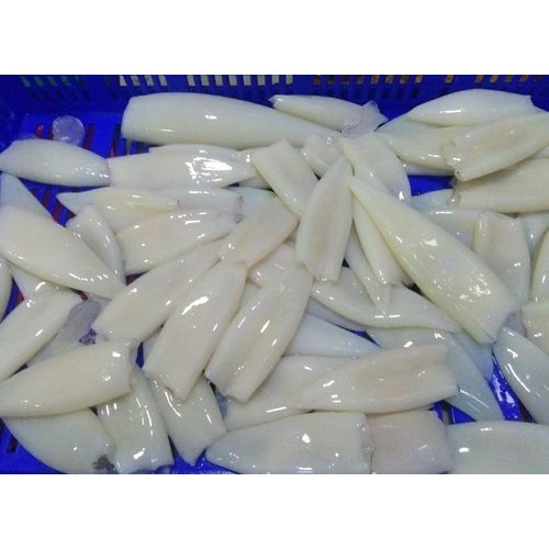 1 Year Frozen Squid Tubes
