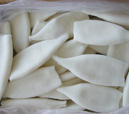 Iqf -40 Frozen Squid Tube 20/40, Grade: A