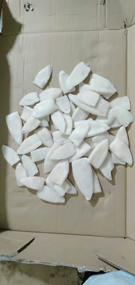 Frozen Squid Tube, - 18