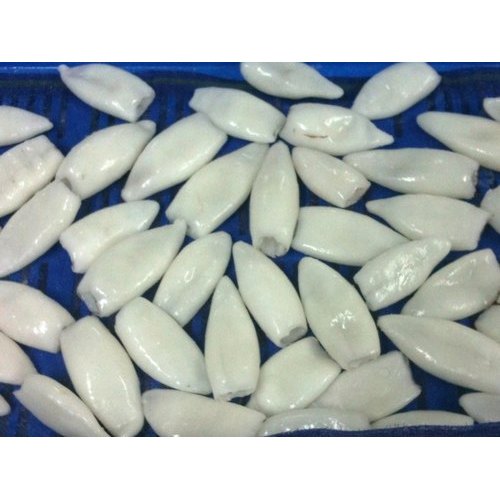 Frozen Squid Tube