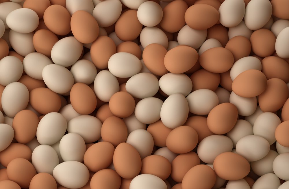 Food Fresh Chicken Egg White Or Brown, Various Health Benefits