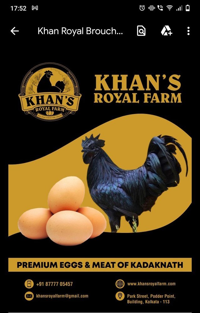Kadaknath Hen Eggs, Cholesterol: 0 Cholesterol, Packaging Type: Tray
