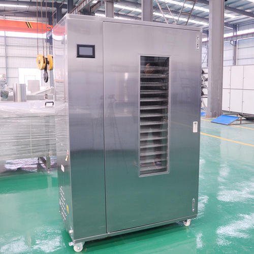 Single Phase Stainless Steel Copra Dryer, Electric, 24 Tray