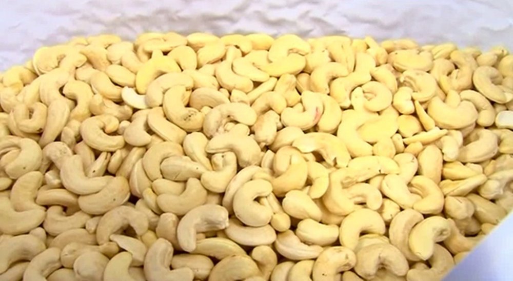 Natural White Cashew Nut Kaju
