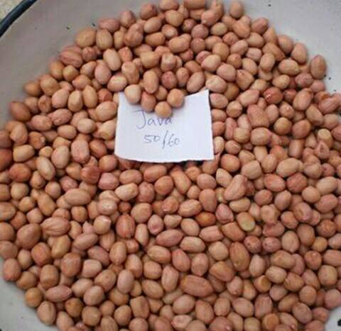 Peanut, Packing Size: 1kg