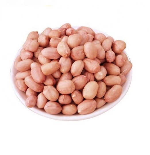 Java Peanut, Gujarat