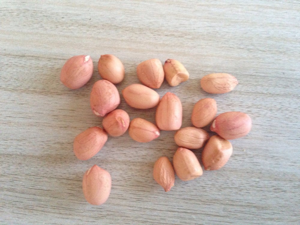 Indian Peanut Kernel, Packaging Size: 25 kg