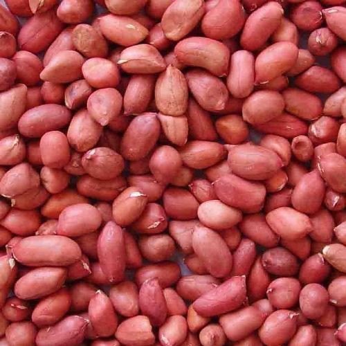 Dry Peanut, Packaging Size: 25