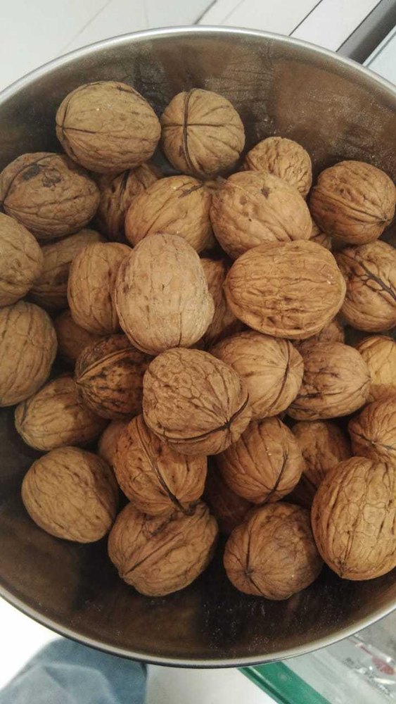 Walnut, Packaging Size: 1-5 kg
