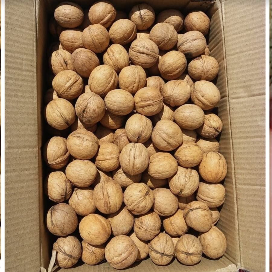 Organic Dry Walnut, Packaging Size: 1 Kilogram