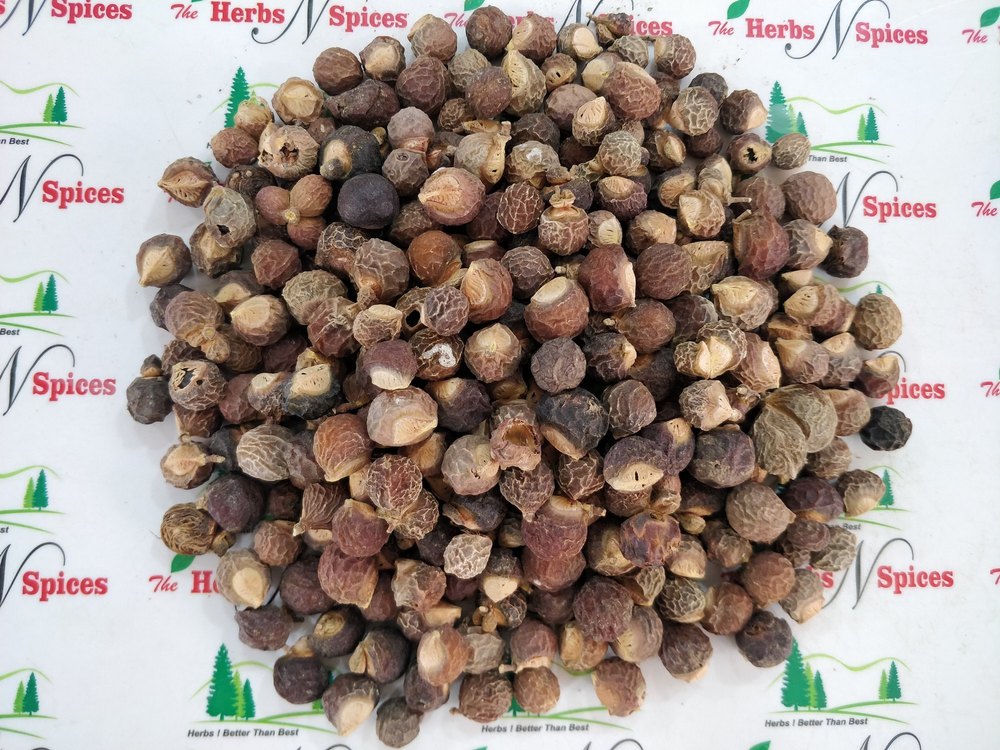Reetha - Soapnut - Sapindus Trifoliatus - Aritha
