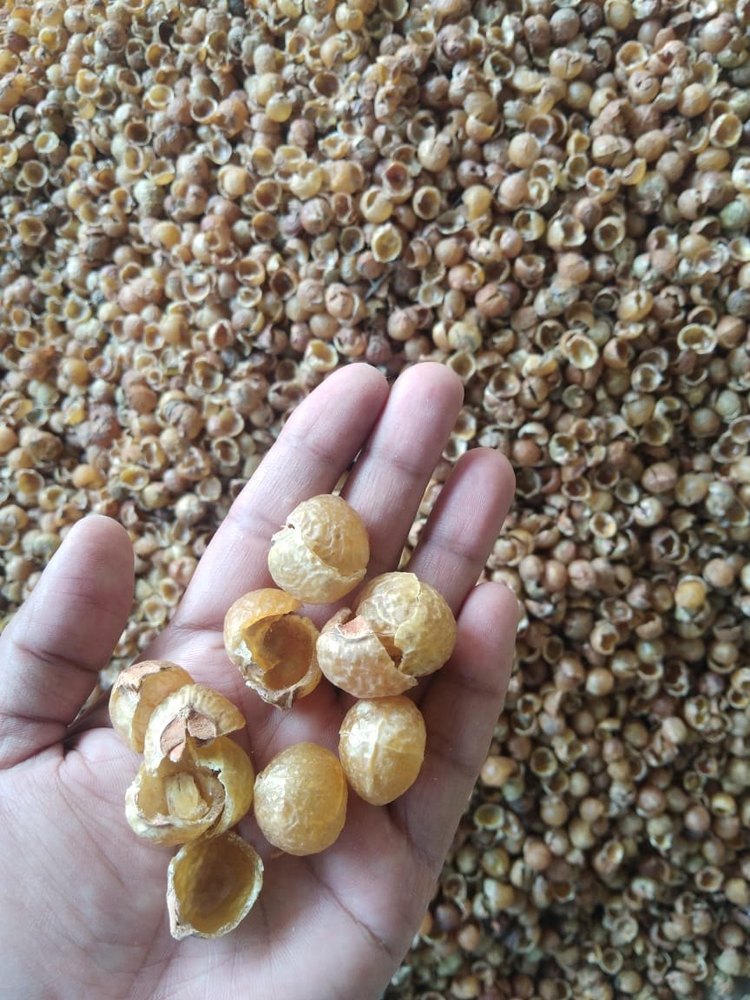 Whole And Powder Organic Soap nuts Shell, Packet, Botanical Name: Sapindus Mukorossi