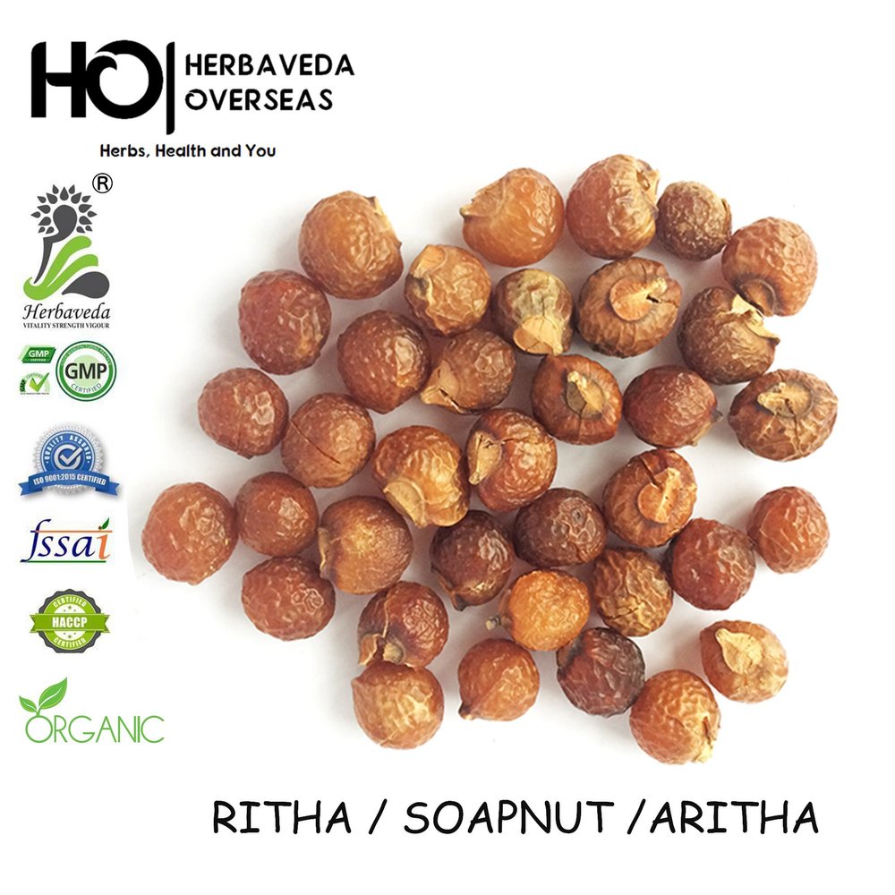 Soap Nut Sapindus Mukorossi Ritha, PP Bags, Packaging Size: 50 Kg