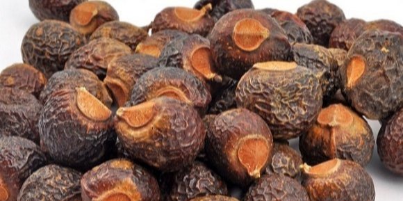 Reetha, Botanical Name: Sapindus