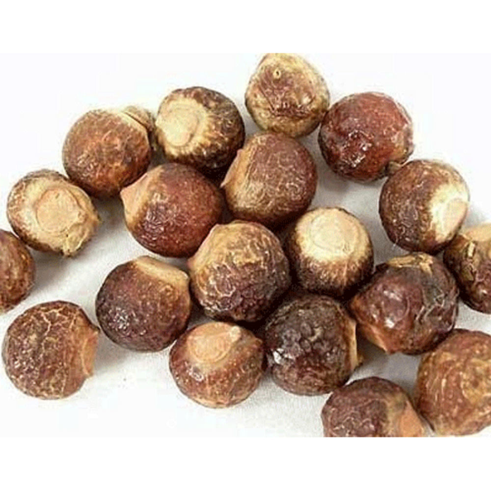 Powder Soapnut Extract, 25 HDPE, Packaging Size: 25kg