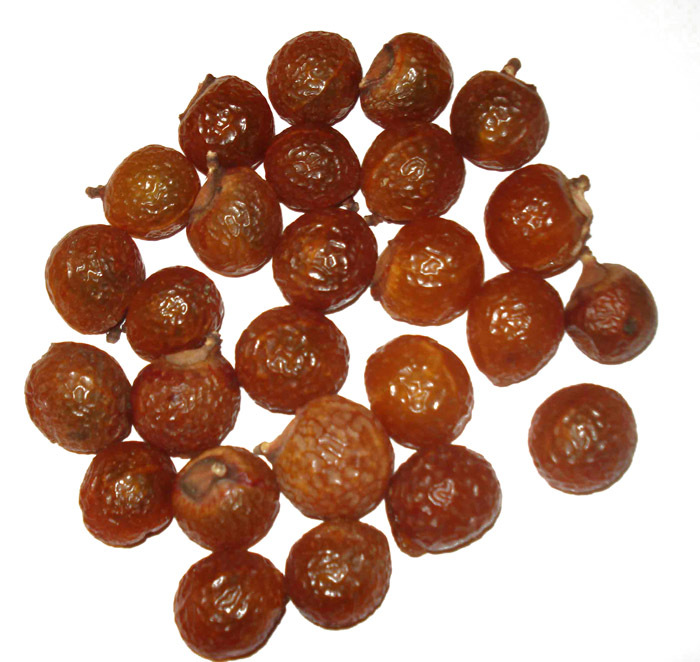 Soapnut Extract, Packaging Type: HDPE Drum, Pack Size: 10 To 25 Kg