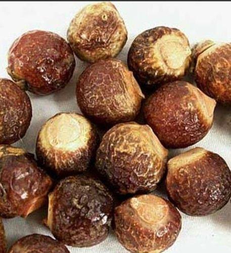 Soap Nut, Botanical Name: Sapindus, Packaging Size: 1-25 Kg
