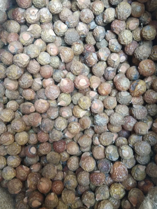 Soap nut, Quantity: 1 kg