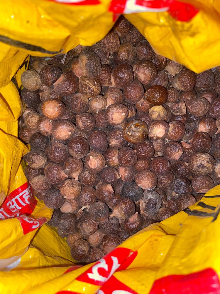 Reetha Seeds, Aritha, Soapnuts, Ritha, Aritha, Packaging Size: 50kg