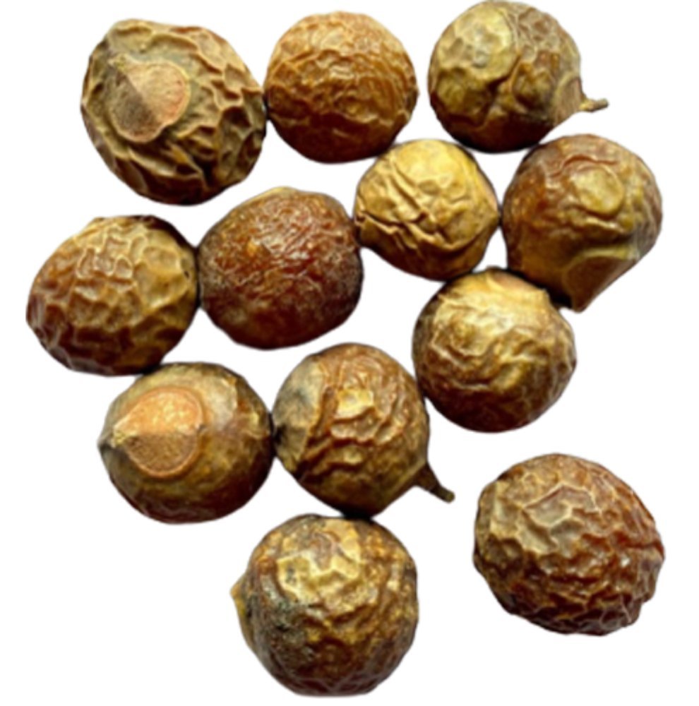 Reetha Soapnut Sapindus Trifoliatus Aritha, Packaging Size: Loose