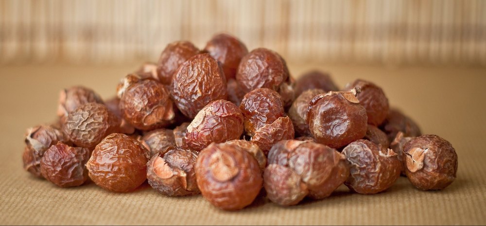 Soap Nuts, Packaging Size: 1 Kg