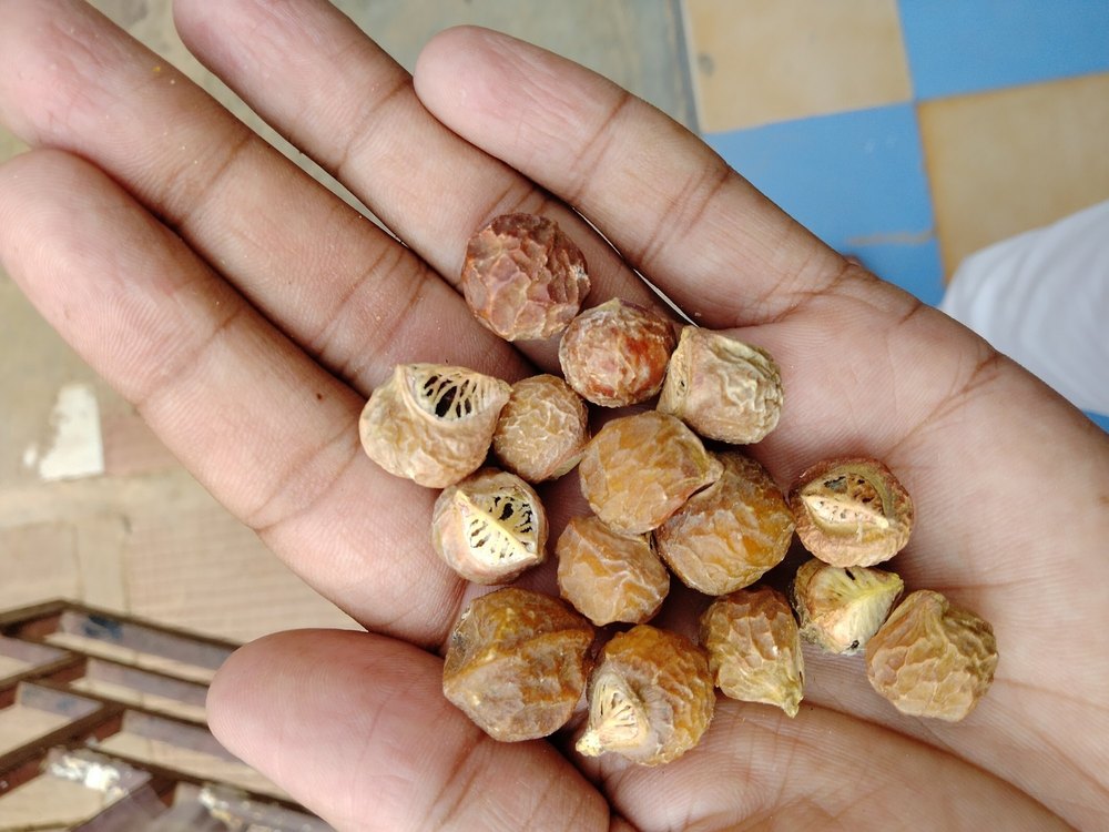 Aritha Soap Nut, Packaging Size: 50