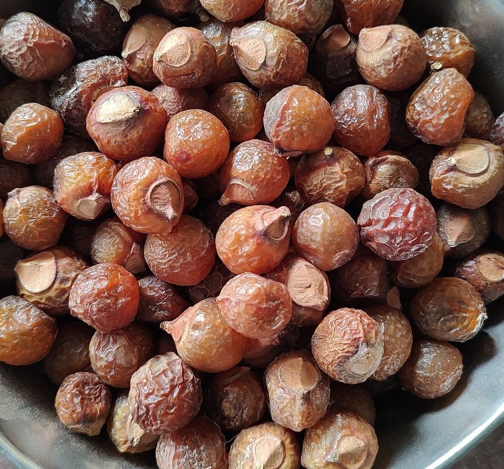 Reetha Soapnut, Packaging Size: 25 KG