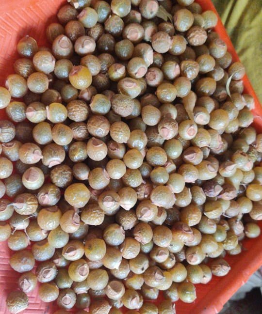 Dry Soap Nut Reetha, Botanical Name: Indian Soapberry, Packaging Size: 25 Kg 50 Kg