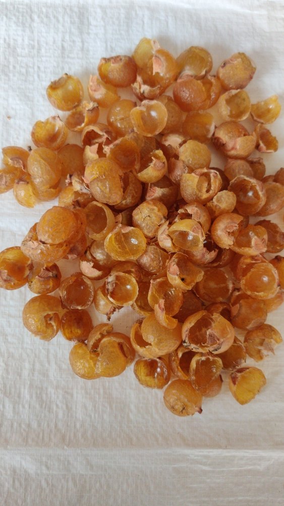 Soap Nut Shell