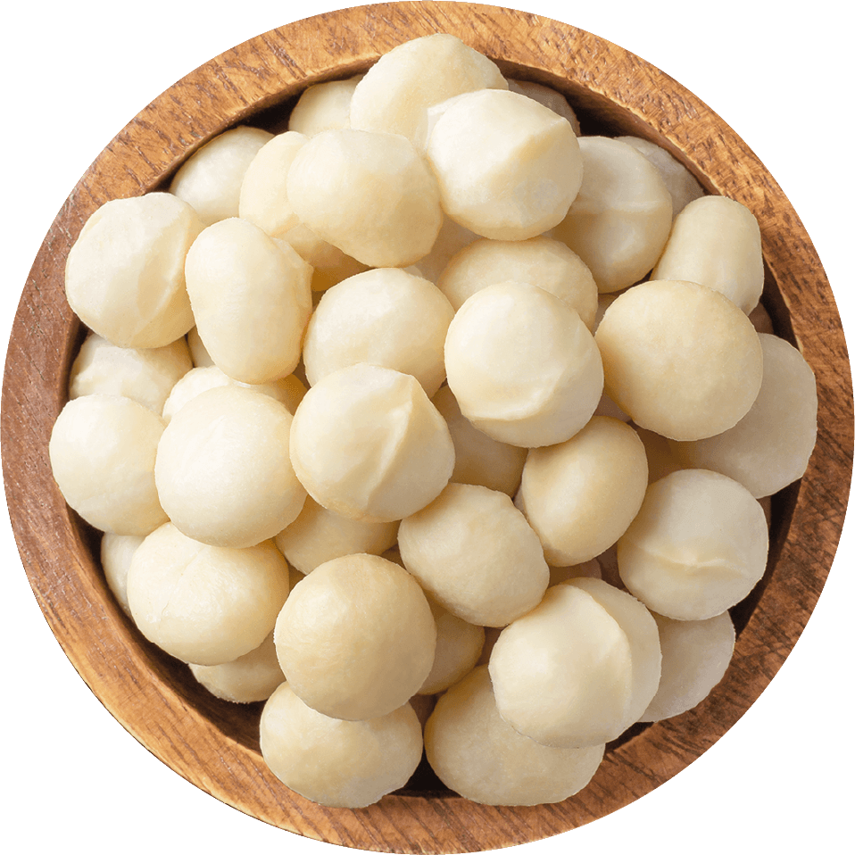 Macadamia Nuts, Packaging Size: 1 Kg, 5 Kg