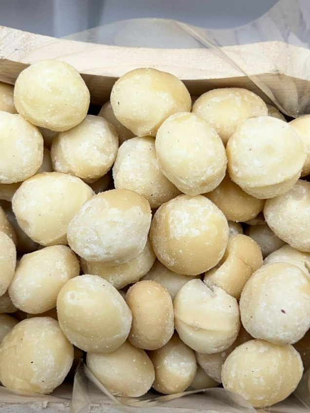 Dry Macadimia nut