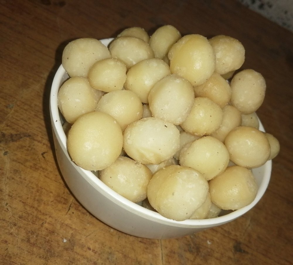 Dried Macadamia Nut