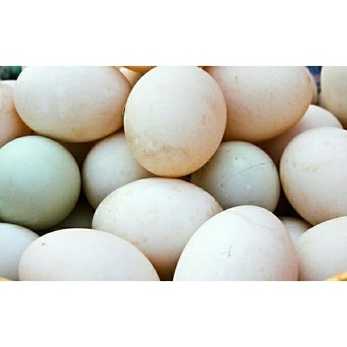 Duck Eggs