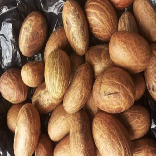 Garcinia Kola Bitter Kola, Packet, Packaging Size: 5 Kg