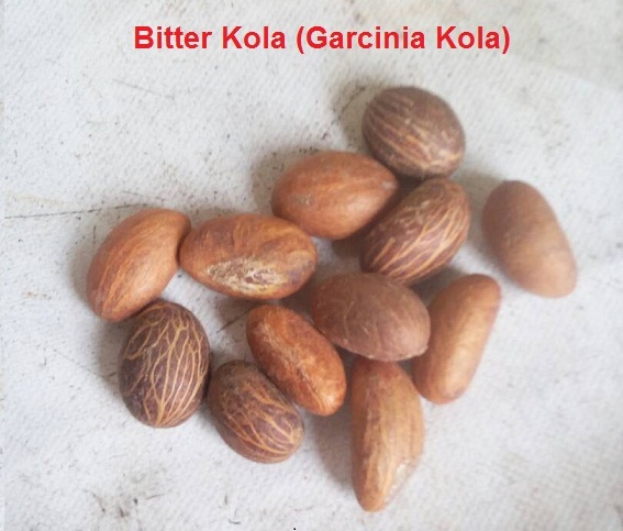 Bitter Kola Garcinia Kola, Pack Size: 1 Kilo