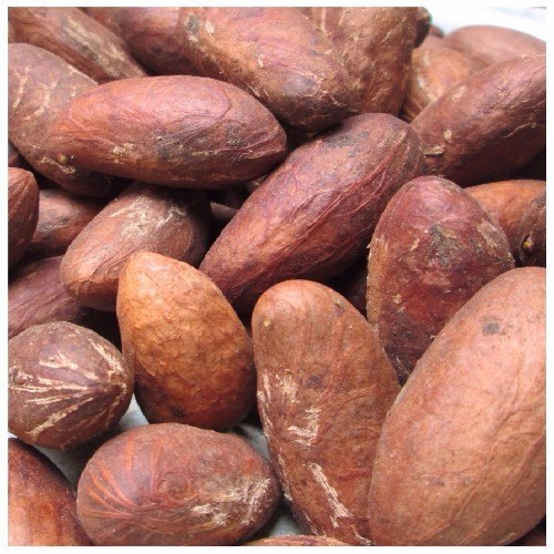 Healthy Garcinia Kola(Bitter Kola) / Fresh Dried Bitter Kola/ Bitter Kola Nuts