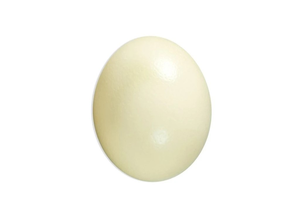 Ostrich Eggs, For Restaurant, Packaging Type: Cartons