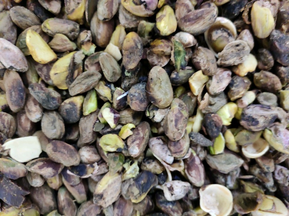 Natural Organic Pistachio Kernels, Packaging Type: PP Bag, Packaging Size: 50kg