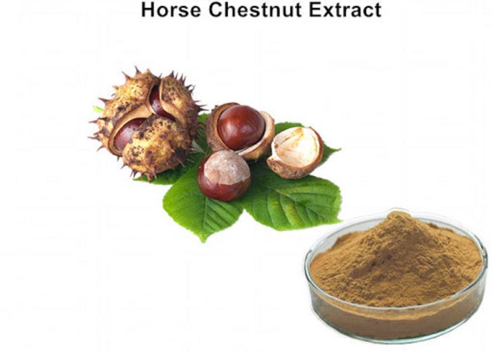 Horse Chestnut Ext.20%HPLC