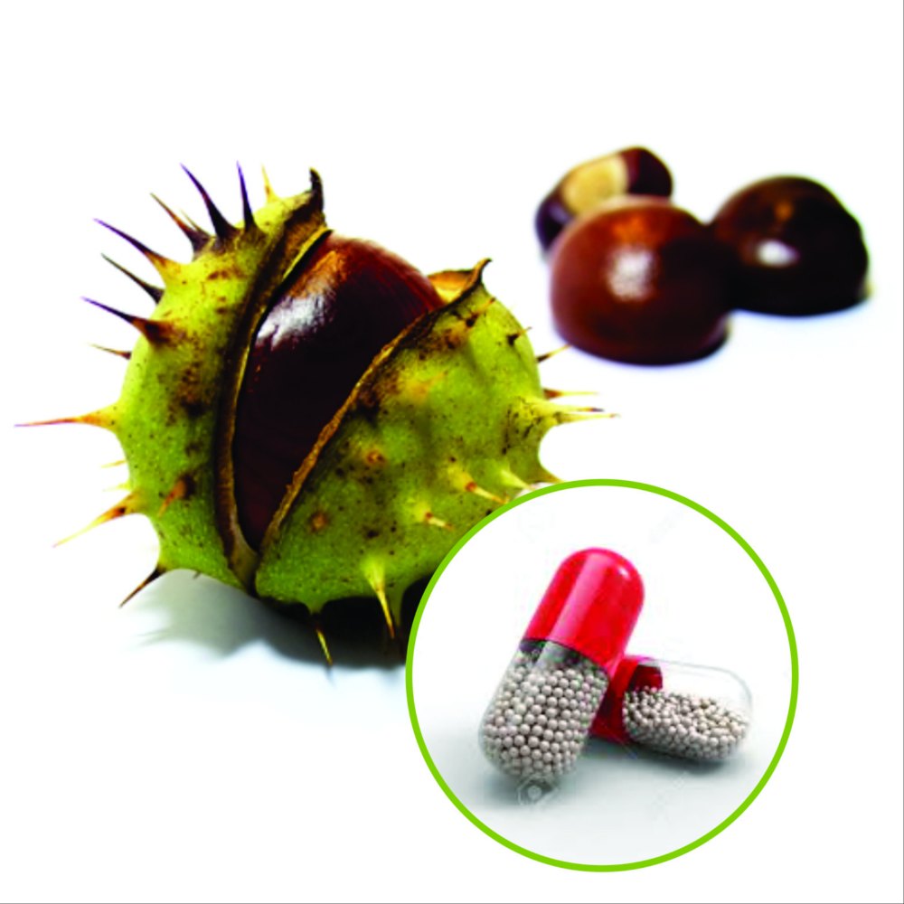 Horse Chestnut Beadlets