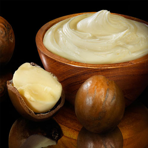 Shea Nut