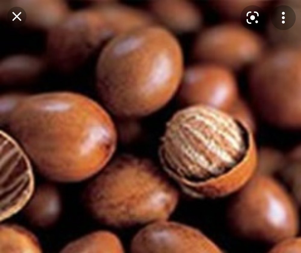 Shea Nuts