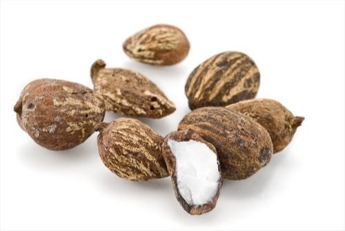 Shea Nut, Packaging Size: 25-50 Kg, Packaging Type: PPE Bag