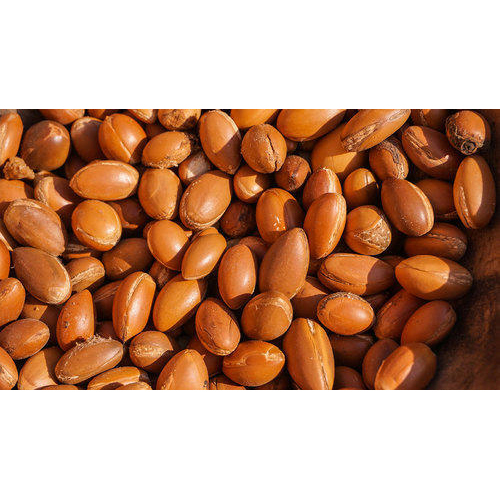 Shea Nut, Packing Size: 25 Kg