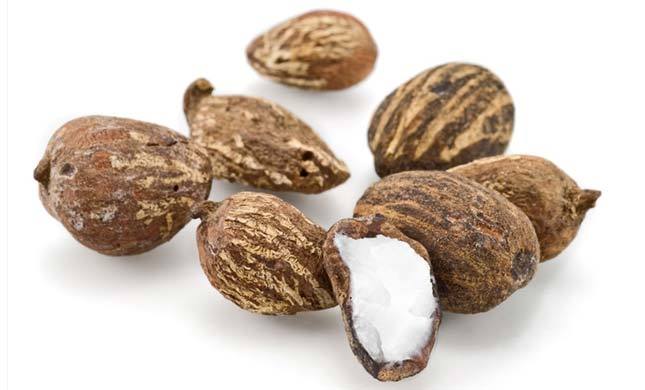 Shea Nuts