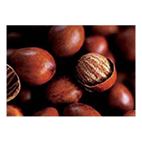 Sheanuts