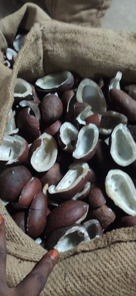 Whole Coconut Copra, For Food, Packaging Type: Loose