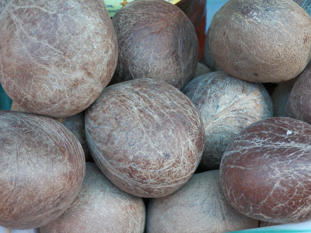Coconut Gola/copra, Packaging Size: Available in 25kg, 50kg