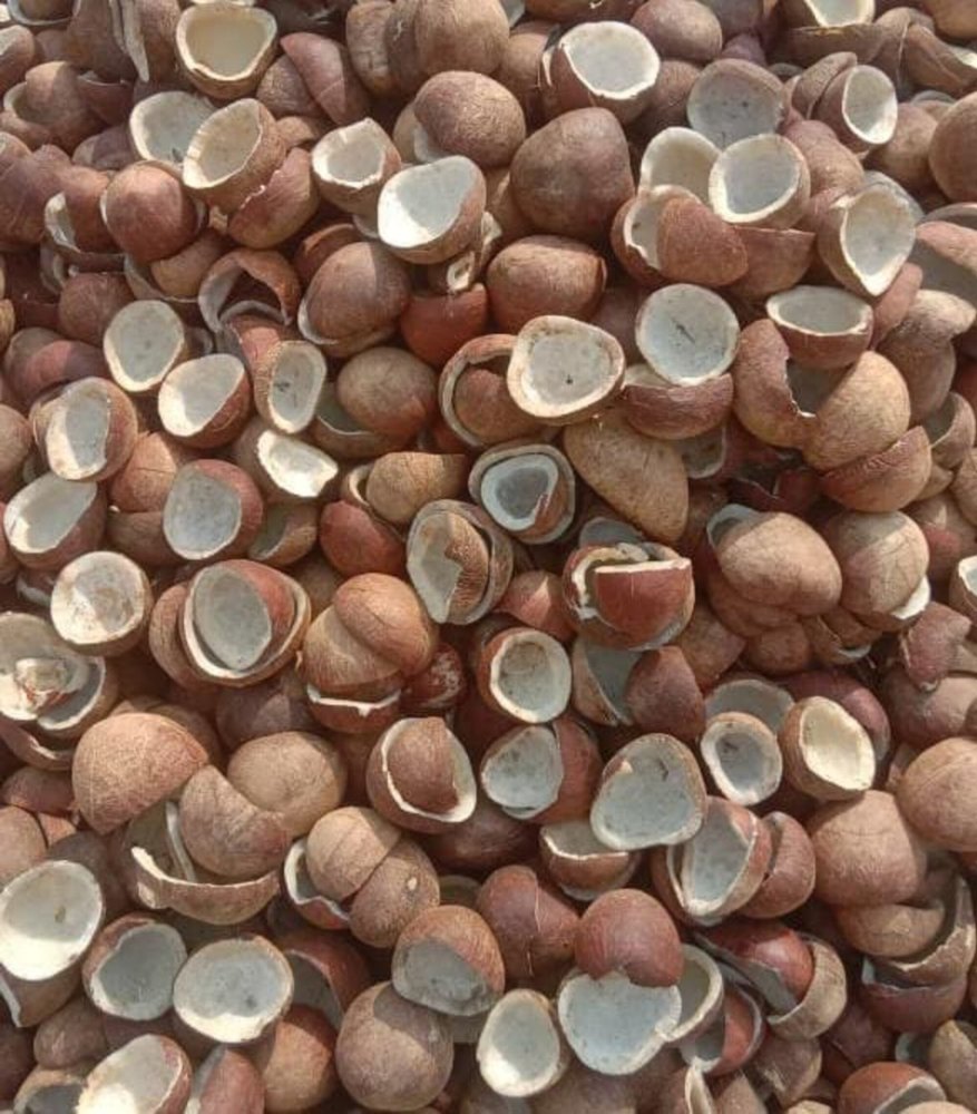 Organic Sulphur Free Dry Copra, Packaging Type: Sacks