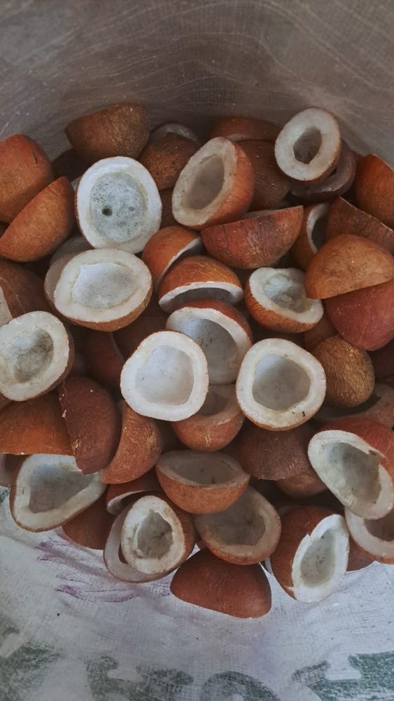 COPRA RED WATI, Packaging Type: Sacks, Packaging Size: 25 Kgs